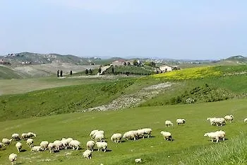 Alloggio per agriturismo Agriturismo Fattoria Lischeto Volterra