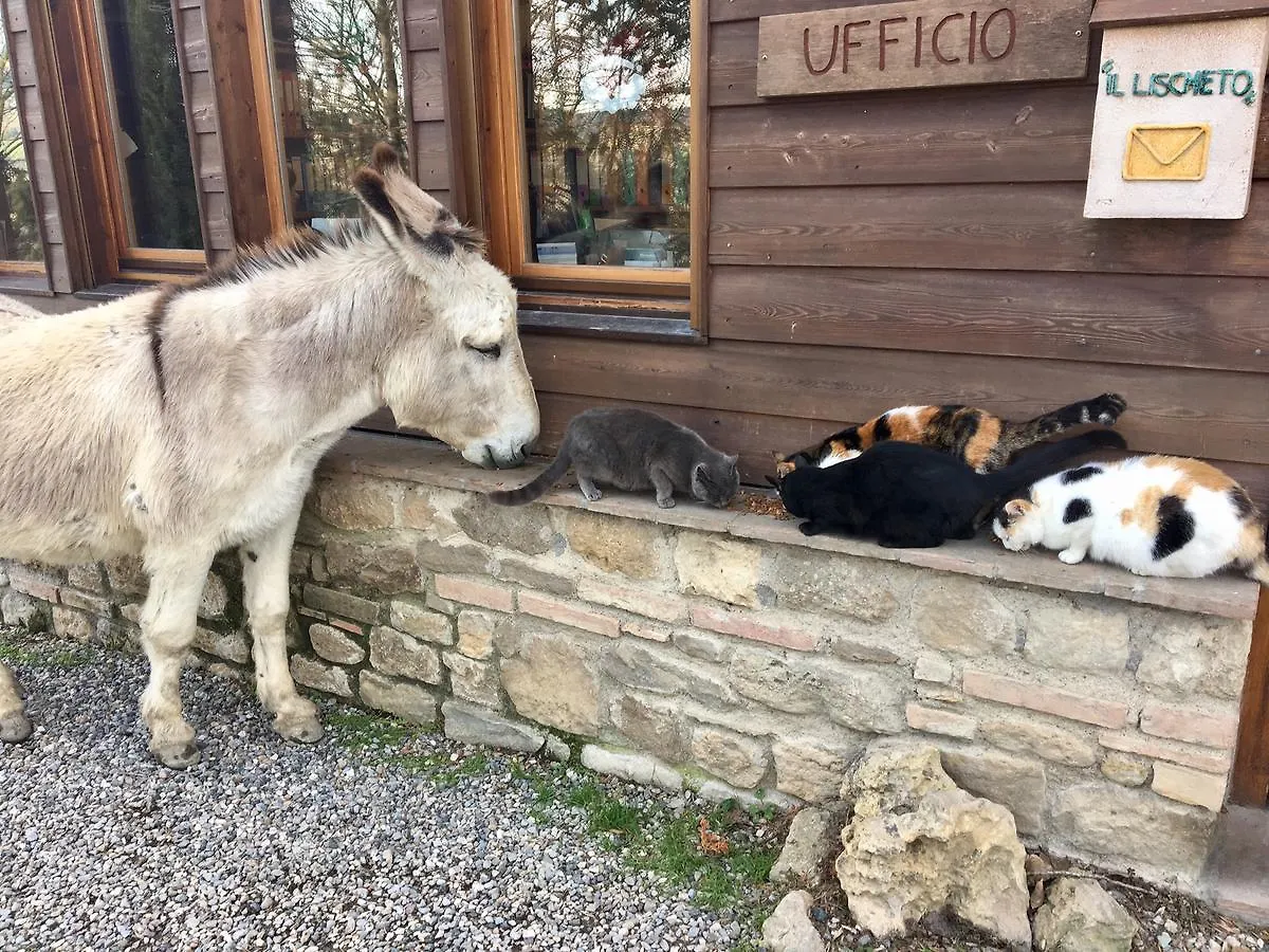 Agriturismo Fattoria Lischeto Volterra Alloggio per agriturismo