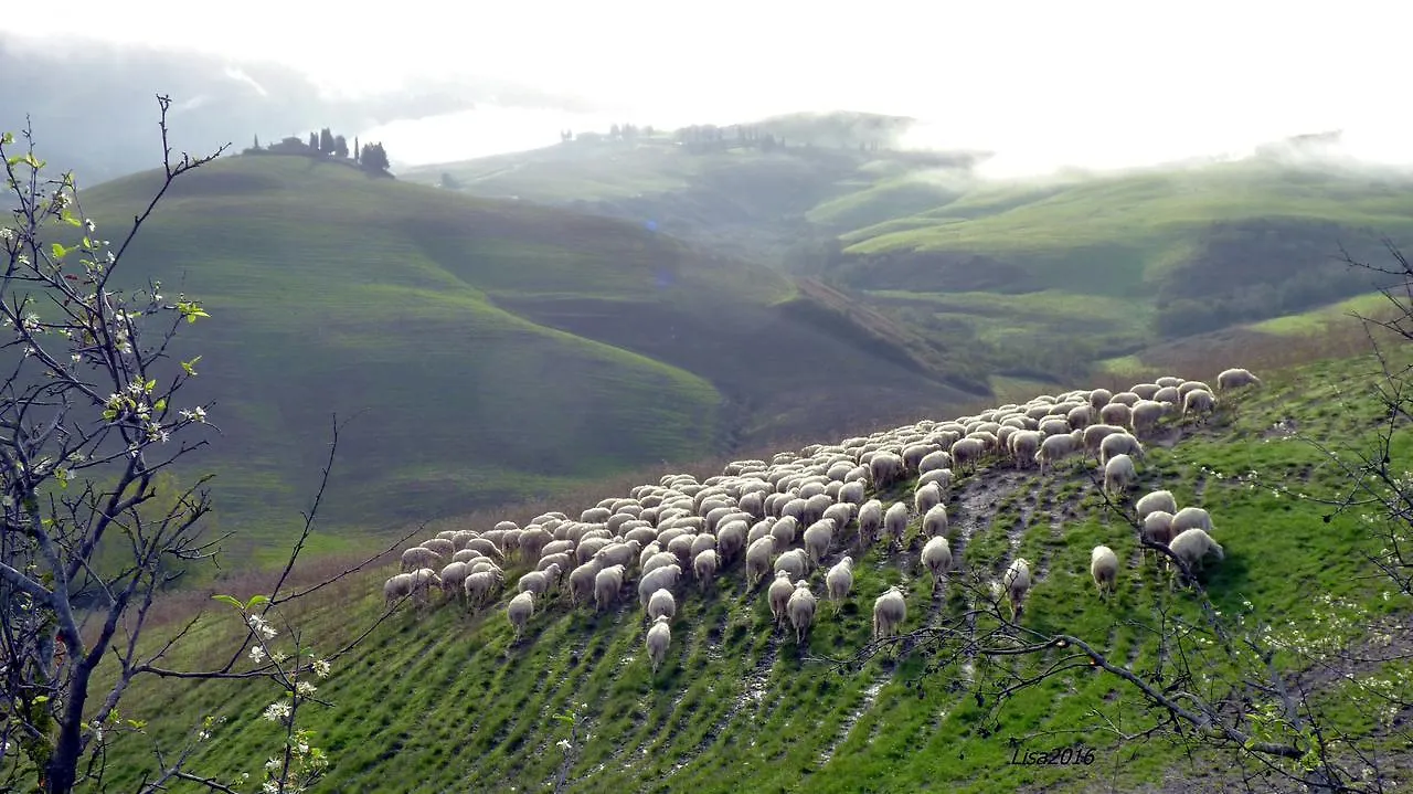Agriturismo Fattoria Lischeto Volterra 0*,  Italia