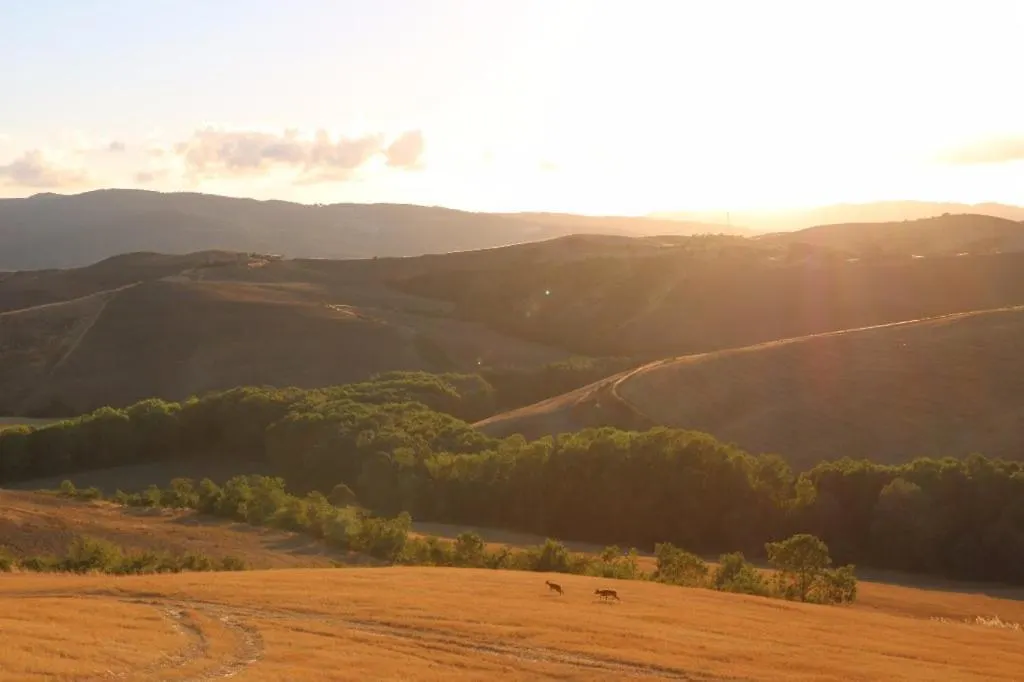 Alloggio per agriturismo Agriturismo Fattoria Lischeto Volterra